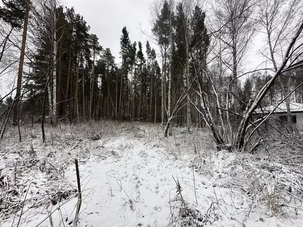 Участок в Свердловская область, Полевской муниципальный округ, с. ... - Фото 1