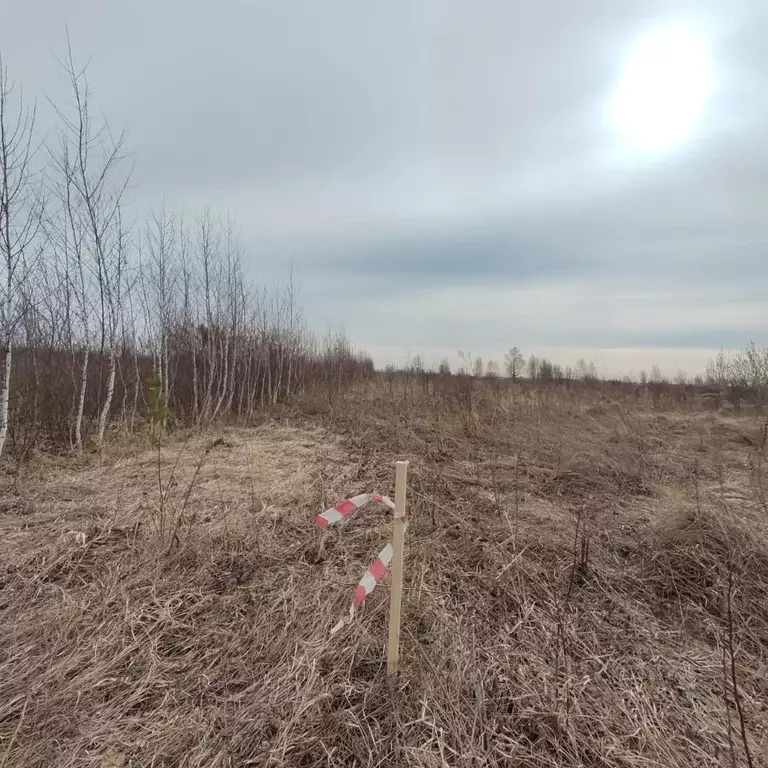 Участок в Новосибирская область, Новосибирский район, Кудряшовский ... - Фото 2