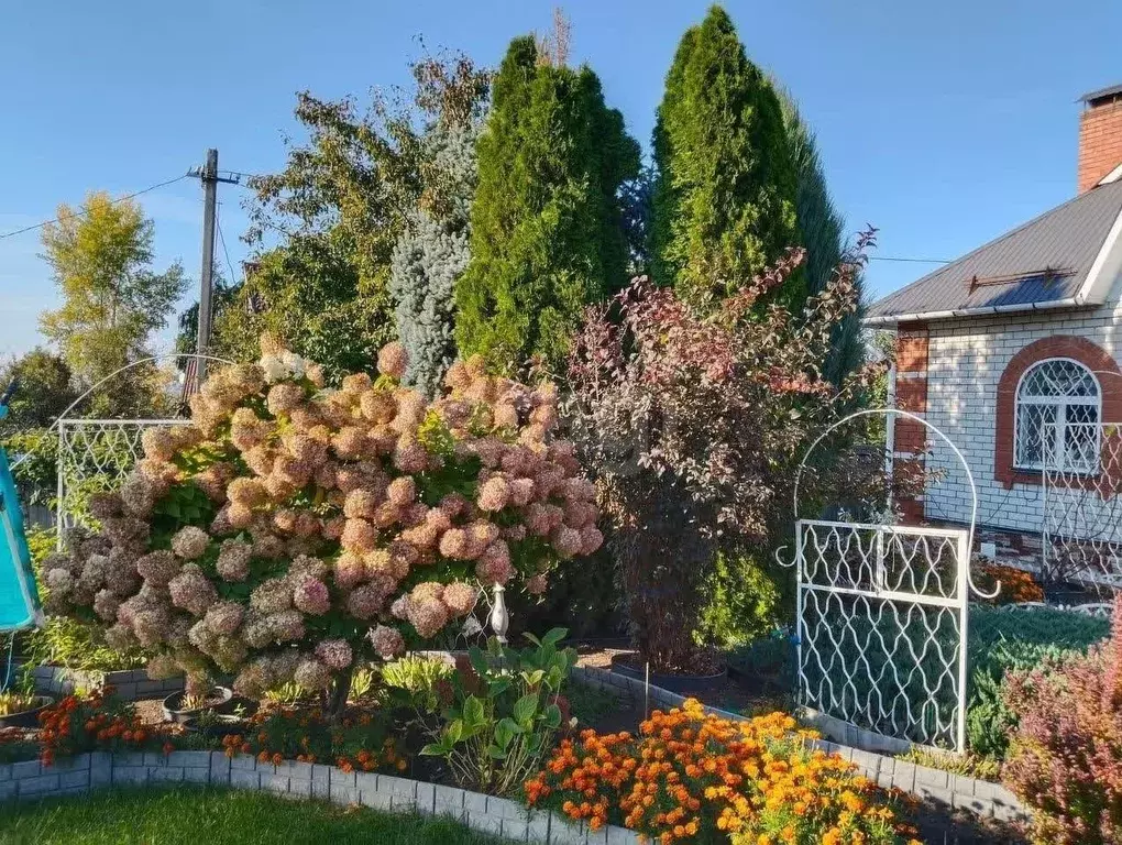 Дом в Татарстан, Тукаевский район, Малошильнинское с/пос, Сосновый Бор ... - Фото 2