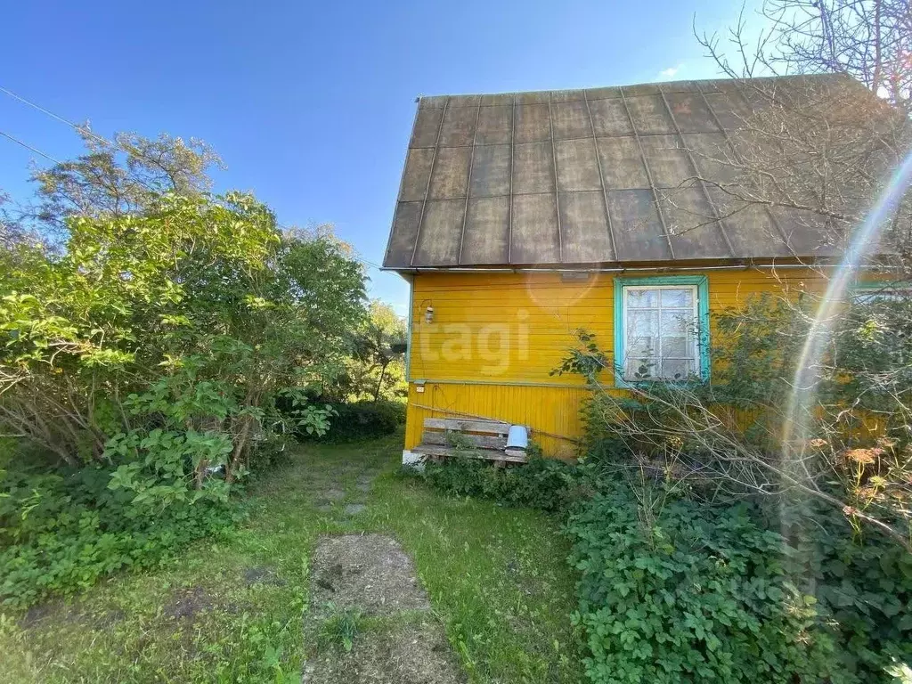 Дом в Ленинградская область, Волховский район, Кисельнинское с/пос, ... - Фото 2