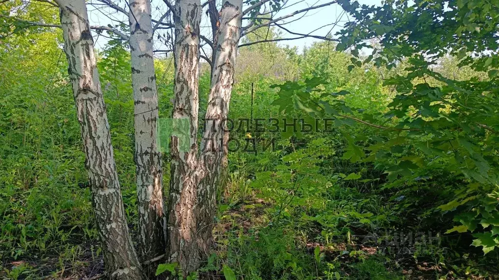 Участок в Башкортостан, Уфа Родник со, 582 (10.15 сот.) - Фото 0