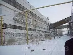 Производственное помещение в Ханты-Мансийский АО, Сургут ... - Фото 0