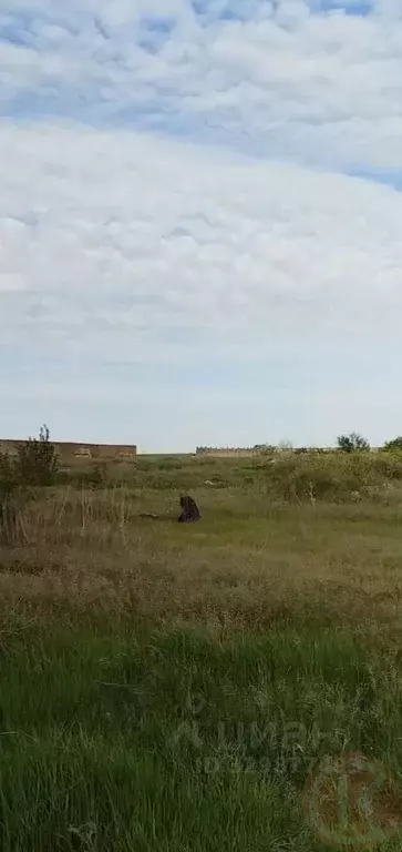 Участок в Крым, Сакский район, с. Молочное ул. Школьная, 17 (16.0 ... - Фото 2