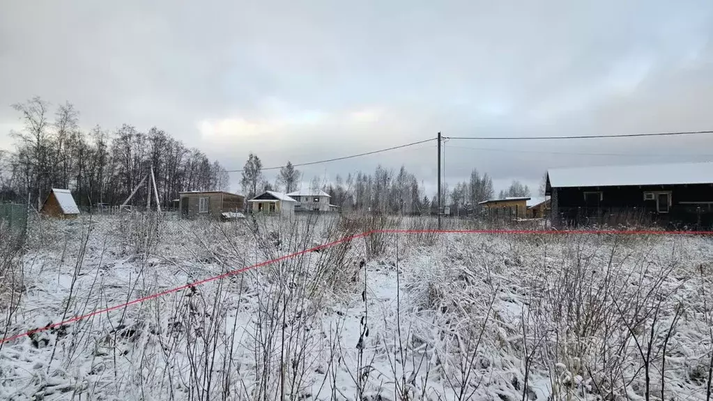 Участок в Ленинградская область, Всеволожский район, Морозовское ... - Фото 1