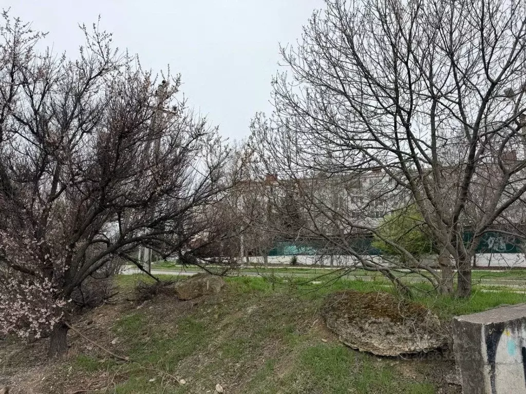 Участок в Севастополь ул. Николая Музыки, 77 (4.53 сот.) - Фото 2