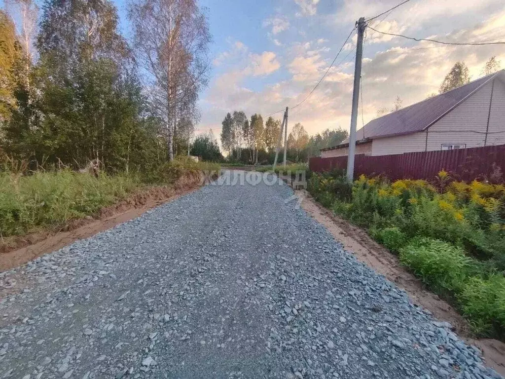 Участок в Новосибирская область, Новосибирский район, Барышевский ... - Фото 0