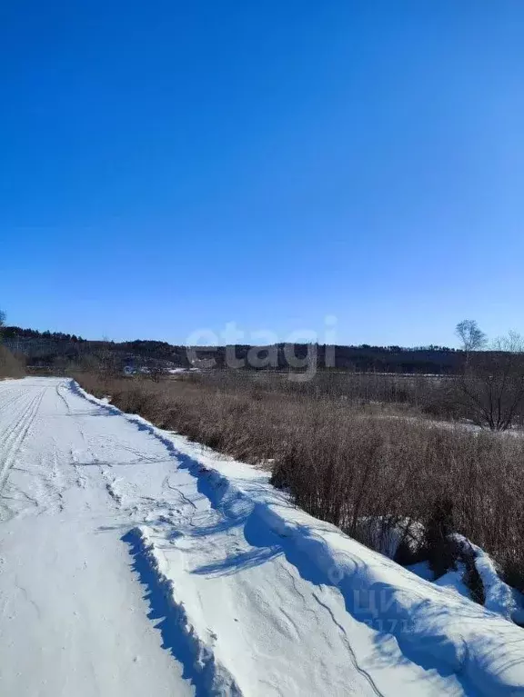 Участок в Амурская область, Благовещенский район, с. Кантон-Коммуна  ... - Фото 1