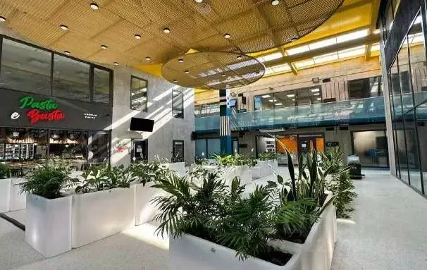 Помещение свободного назначения в Санкт-Петербург просп. Зотовский, ... - Фото 2