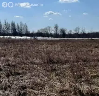 Участок в Псковский район, Завеличенская волость, деревня Борисовичи ... - Фото 1