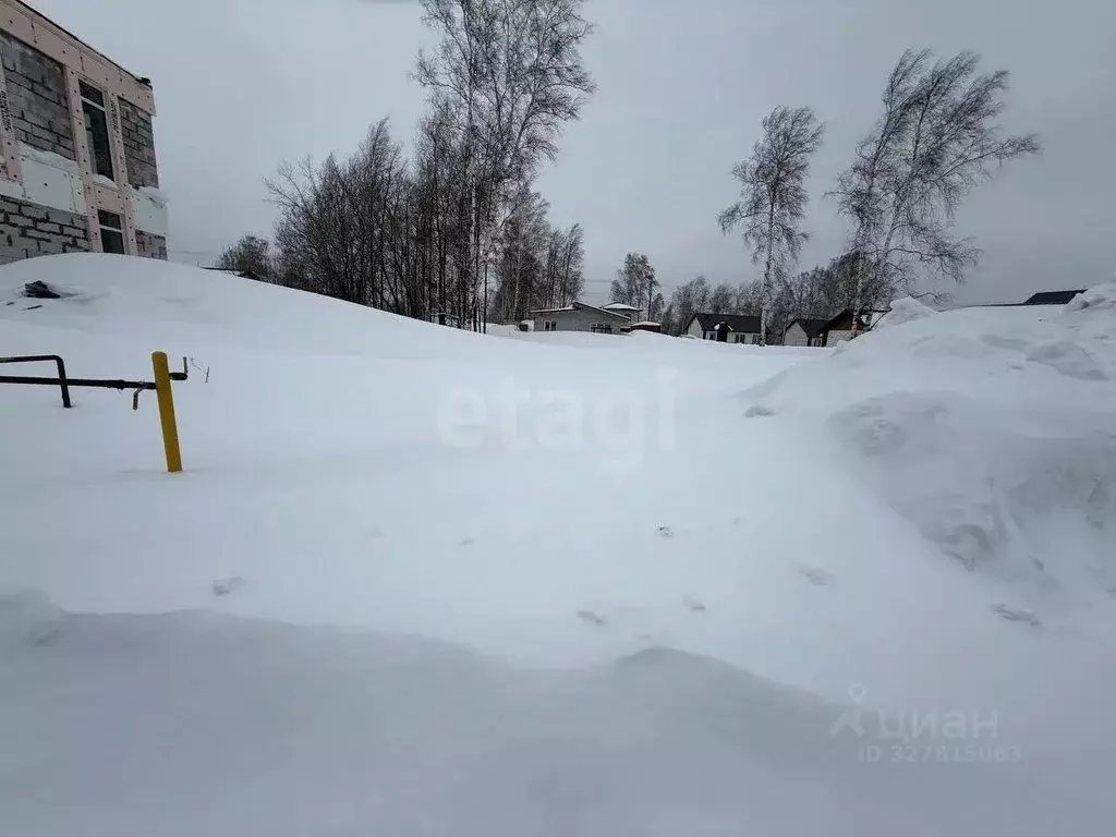 Участок в Новосибирская область, Новосибирский район, Каменский ... - Фото 2