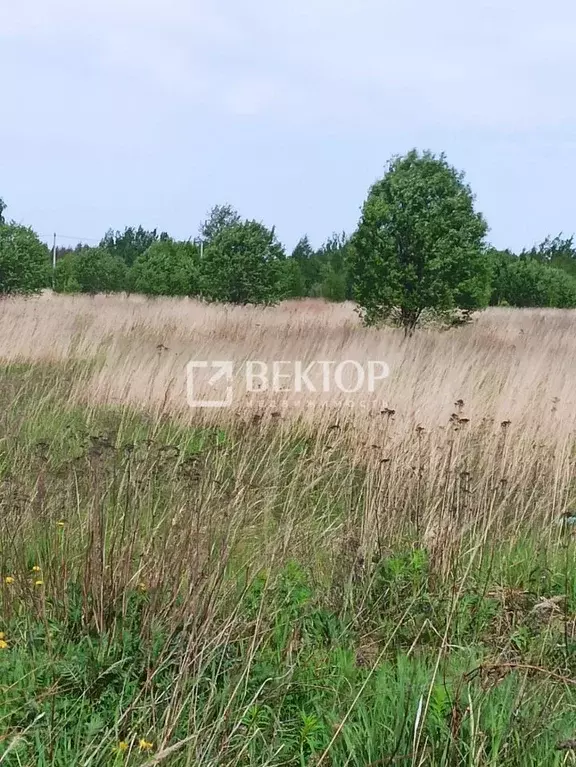 Участок в Костромская область, Кострома Соколиное Гнездо кп, 1 (7.0 ... - Фото 1