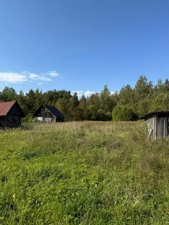 Участок в Ленинградская область, Лужский район, Ям-Тесовское с/пос, д. ... - Фото 1