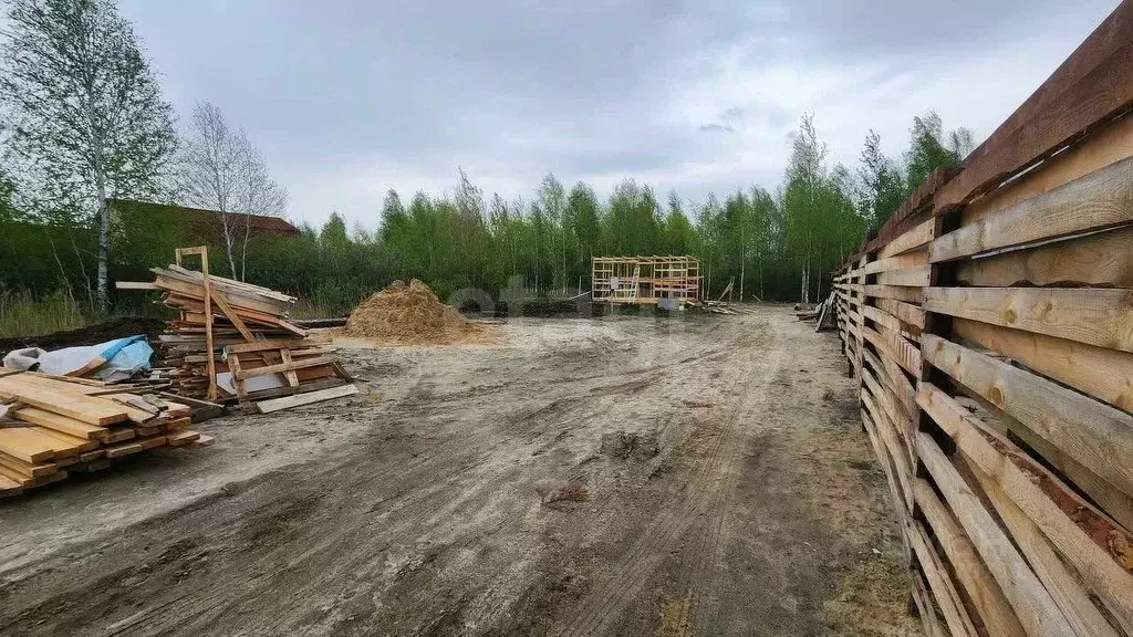 Участок в Тюменская область, Тюмень СОСН Березка-3 тер., ул. 26-я (5.0 ... - Фото 1