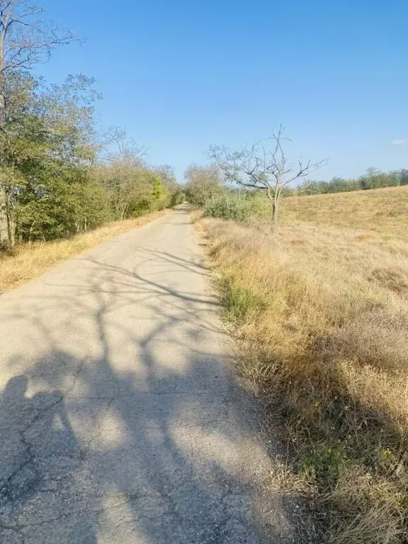 Участок в Крым, Симферопольский район, Николаевка пгт ул. Советская ... - Фото 1