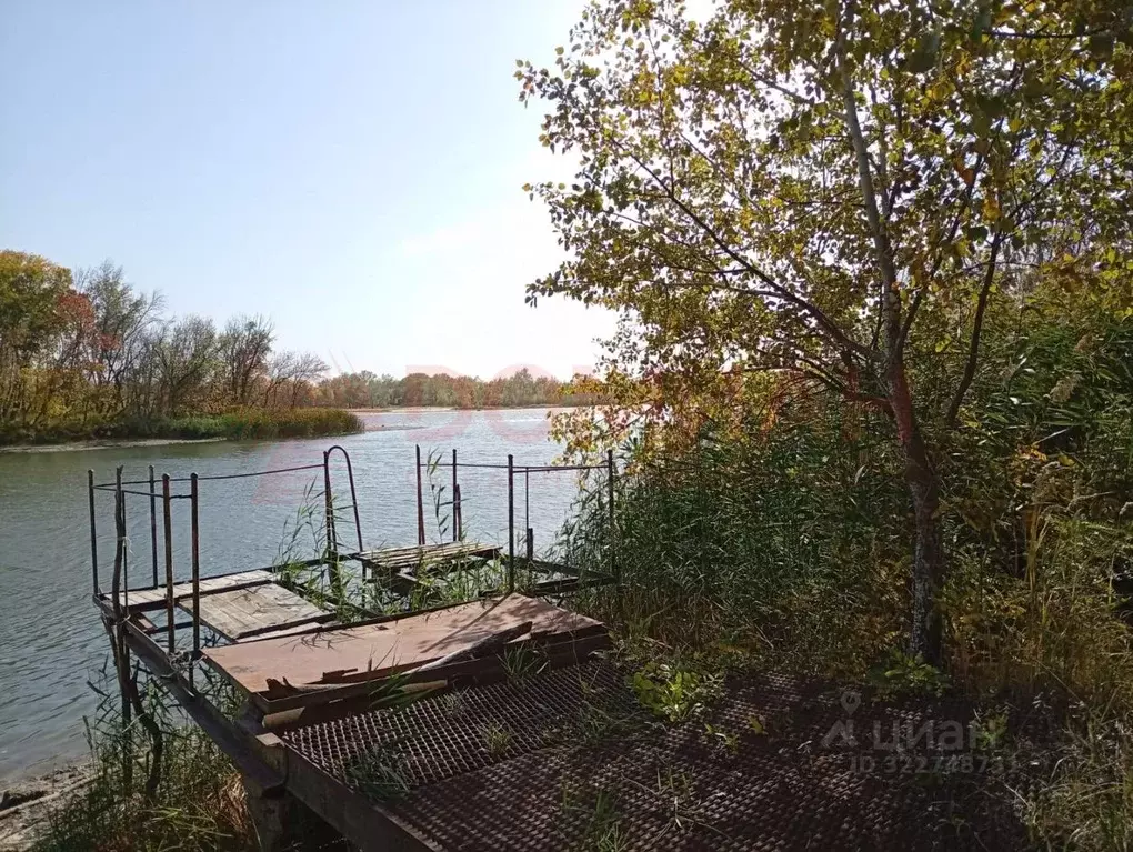 Участок в Ростовская область, Багаевский район, Ажиновское с/пос, ... - Фото 1