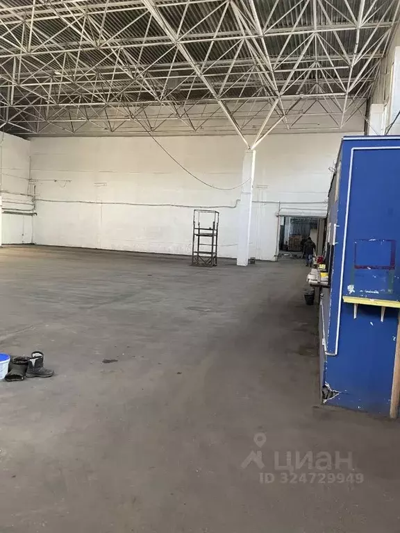 Торговая площадь в Приморский край, Владивосток Снеговая ул., 64А (500 ... - Фото 2