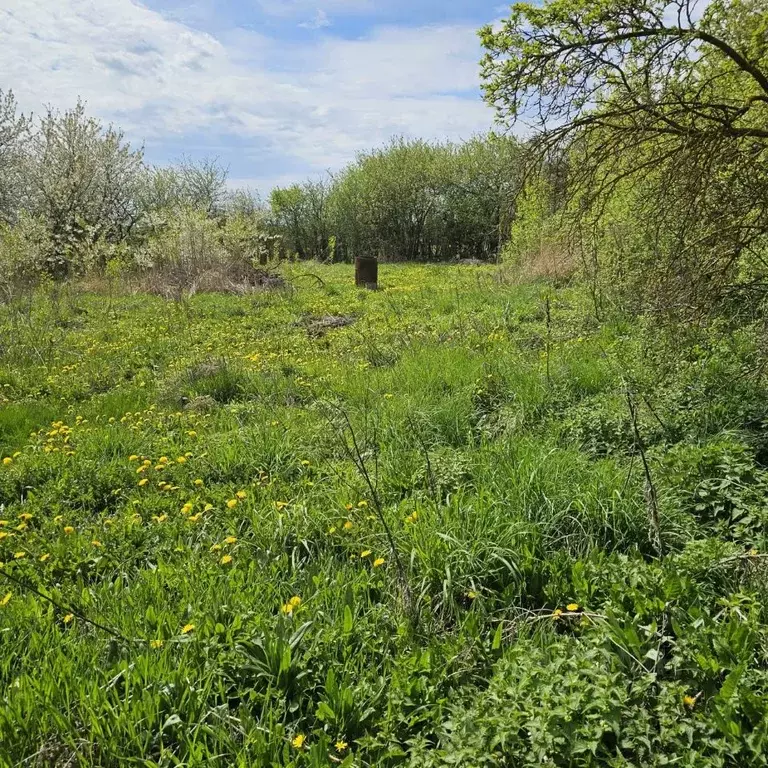 Участок в Тульская область, Тула городской округ, с. Осиновая Гора  ... - Фото 0
