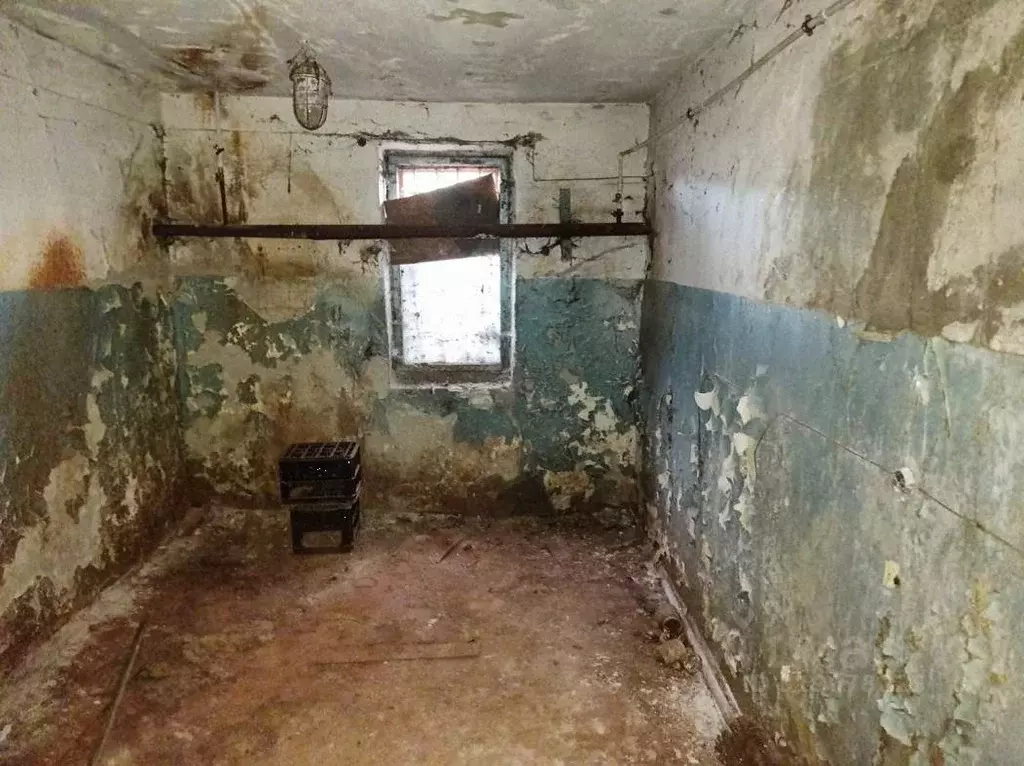 Помещение свободного назначения в Воронежская область, Воронеж ул. ... - Фото 1