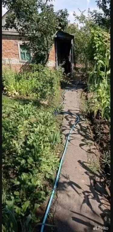 Дом в Ростовская область, Волгодонск Строитель СНТ, 6 массив,  (20 м) - Фото 2