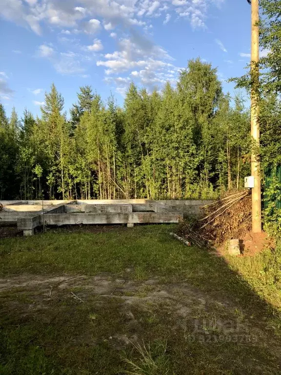 Участок в Архангельская область, Приморский муниципальный округ, ... - Фото 1
