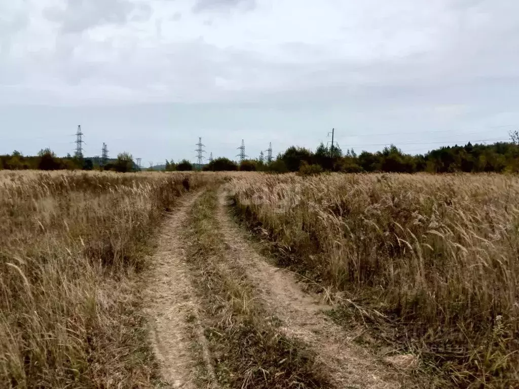Участок в Калужская область, Малоярославецкий район, Маклино с/пос, д. ... - Фото 2