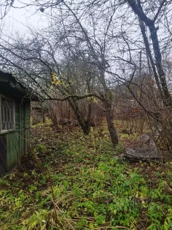 Участок в Ленинградская область, Сланцевский район, Старопольское ... - Фото 1