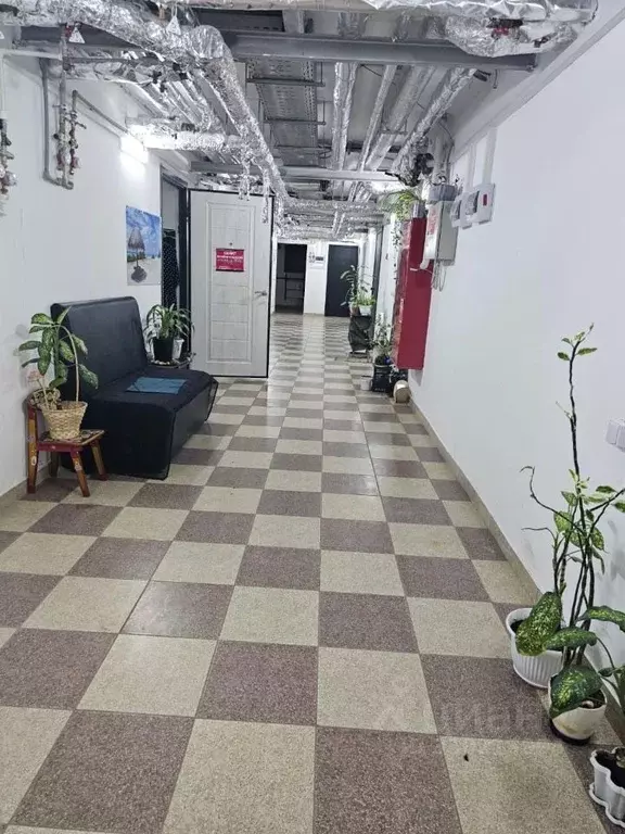 Помещение свободного назначения в Краснодарский край, Краснодар ул. ... - Фото 1