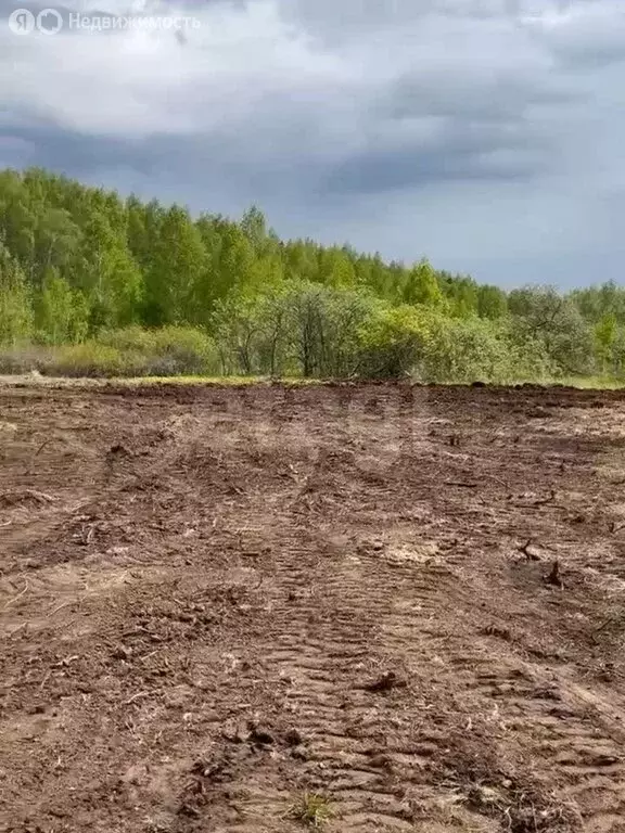 Участок в село Ташкиново, садовые участки Радуга-1, 6-я улица (6 м) - Фото 2