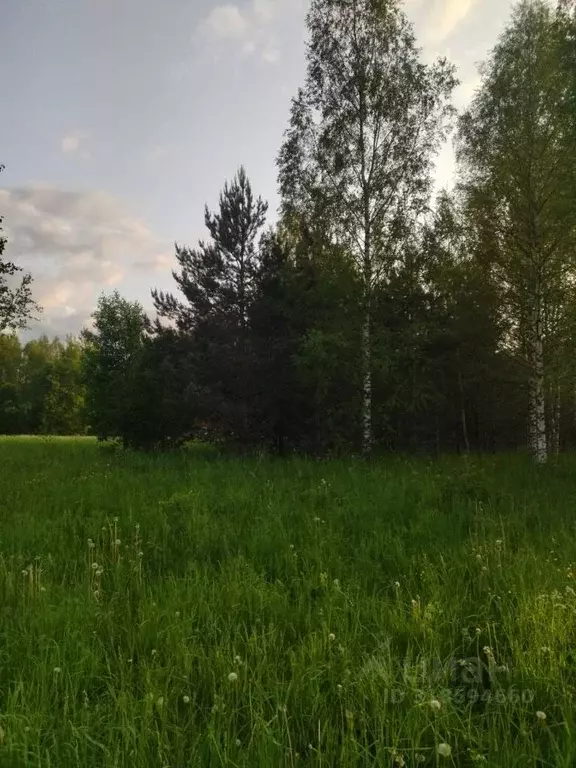 Участок в Новгородская область, Валдайский район, Рощинское с/пос, д. ... - Фото 1