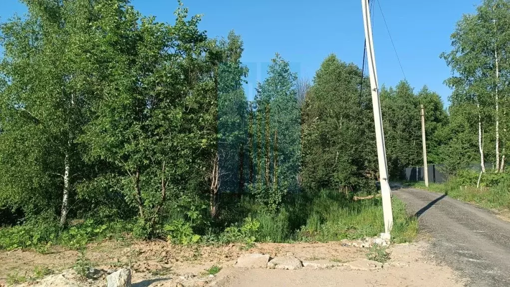 Участок в Московская область, Чехов муниципальный округ, д. Солнышково ... - Фото 2