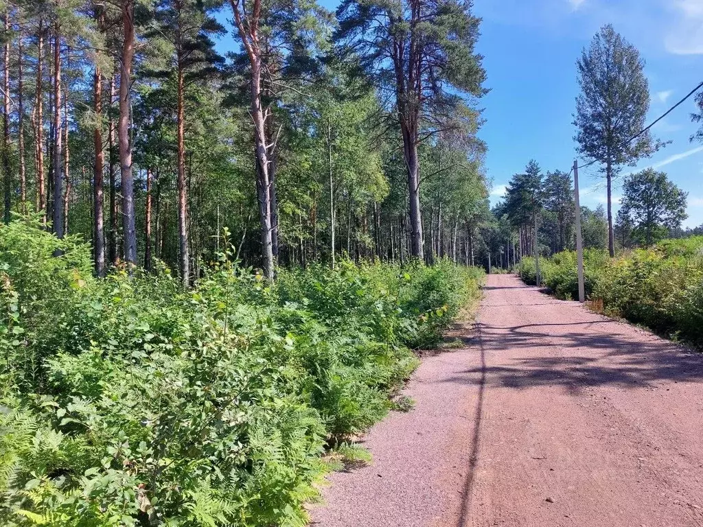 Участок в Ленинградская область, Выборгский район, Полянское с/пос, ... - Фото 1