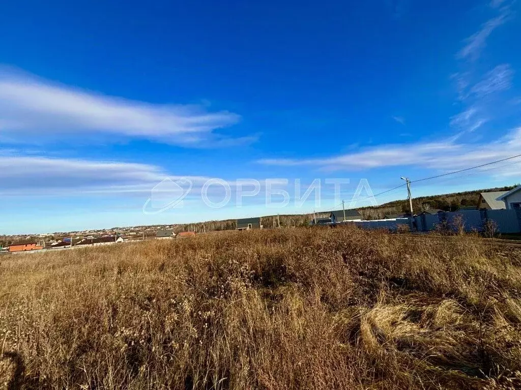 Участок в Тюменская область, Тюменский муниципальный округ, с. Кулига  ... - Фото 2