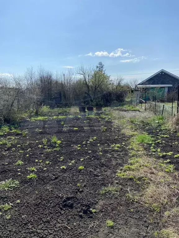 Участок 4 сот. (СНТ, ДНП) - Фото 1