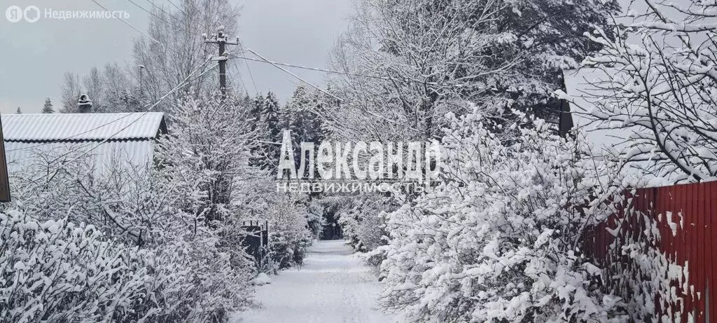 Дом в Выборгский район, Рощинское городское поселение, садоводческое ... - Фото 1