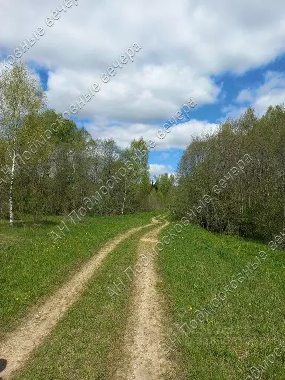 Участок в Московская область, Рузский муниципальный округ, д. Новая  ... - Фото 2