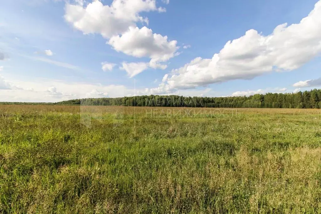 Участок в Тюменская область, Тюменский район, с. Кулига, Кулига-2 мкр  ... - Фото 0