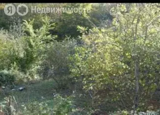 Участок в Краснодарский край, Туапсинский муниципальный округ, село ... - Фото 2