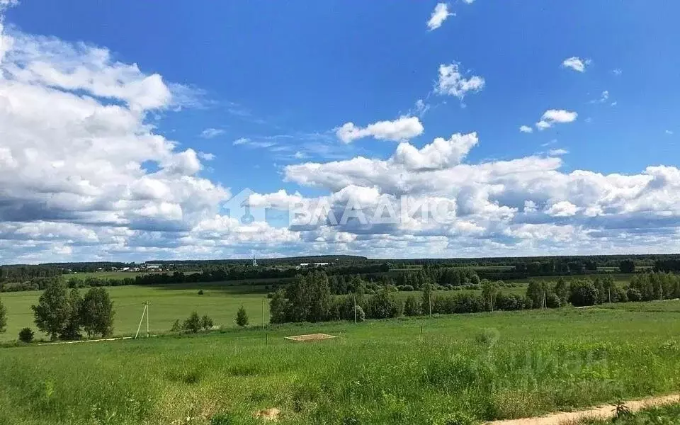 Участок в Владимирская область, Собинский муниципальный округ, с. ... - Фото 0