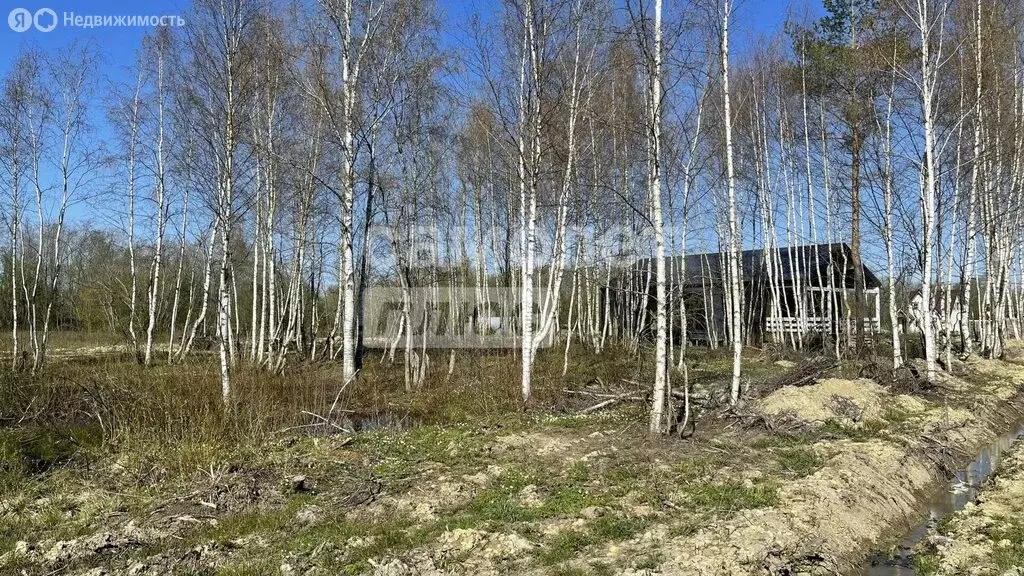 Участок в Ломоносовский район, Оржицкое сельское поселение, деревня ... - Фото 2