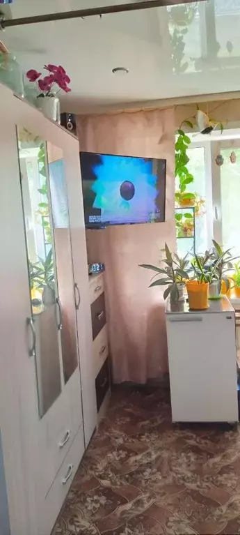 1-к кв. Курганская область, Курган Заозерный жилрайон, 3-й мкр, 8 ... - Фото 1