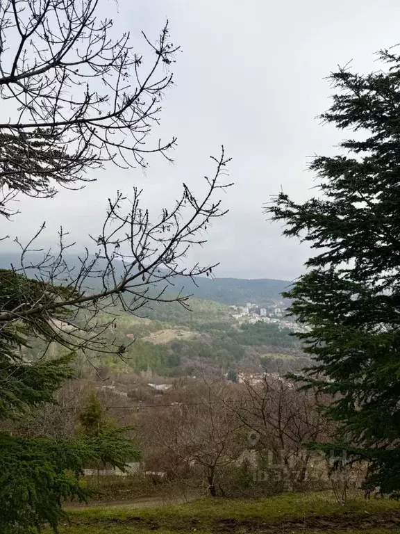 Участок в Крым, Ялта  (4.1 сот.) - Фото 2