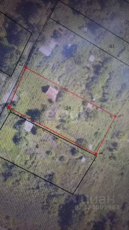 Участок в Амурская область, Благовещенск Падь Горбуниха СТ,  (10.0 ... - Фото 1