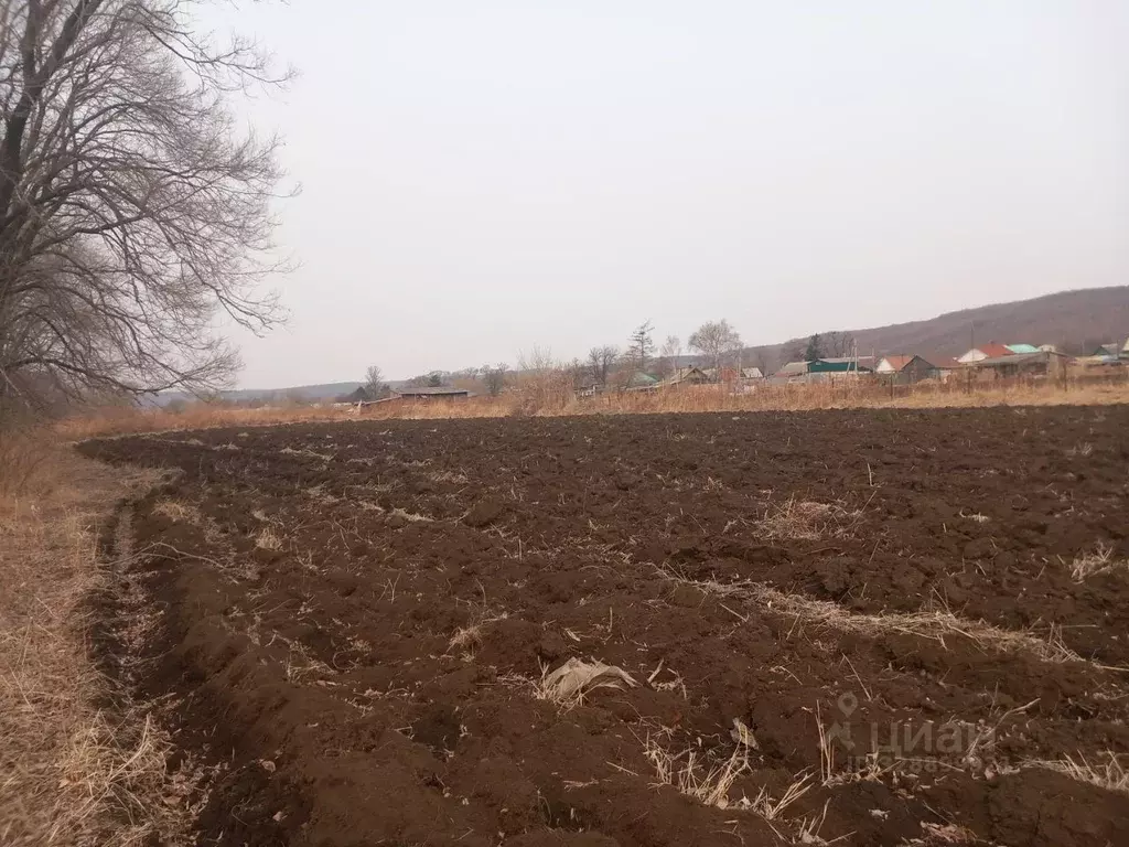 Участок в Приморский край, Уссурийский городской округ, с. Кроуновка  ... - Фото 2