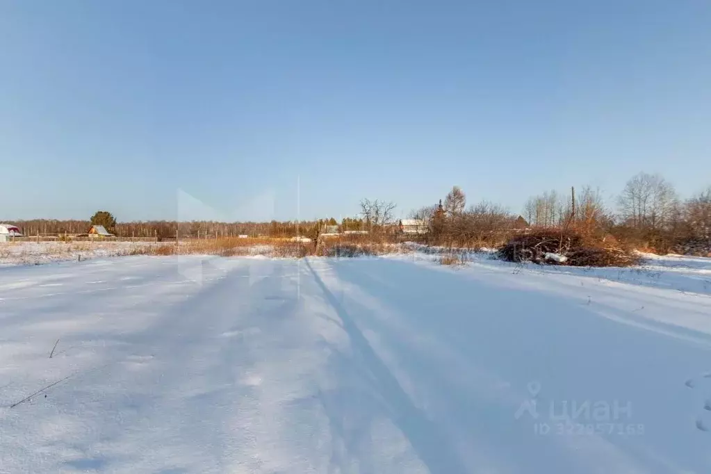 Участок в Тюменская область, Тюменский муниципальный округ, Янтарное ... - Фото 1