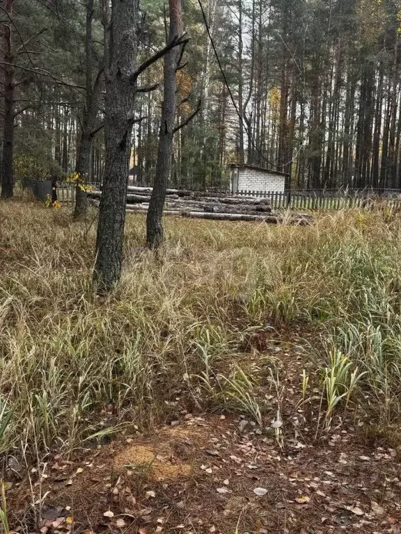 Участок в Брянская область, Брянский район, Свенское с/пос, пос. Свень ... - Фото 1