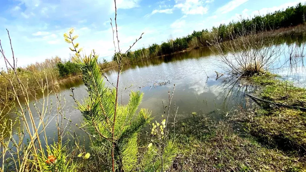 Участок в Свердловская область, Белоярский городской округ, д. Гусева, ... - Фото 0