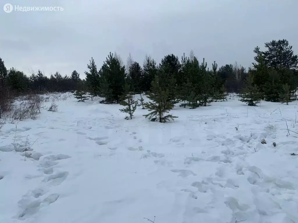 Купить Участок В Белоярском Районе