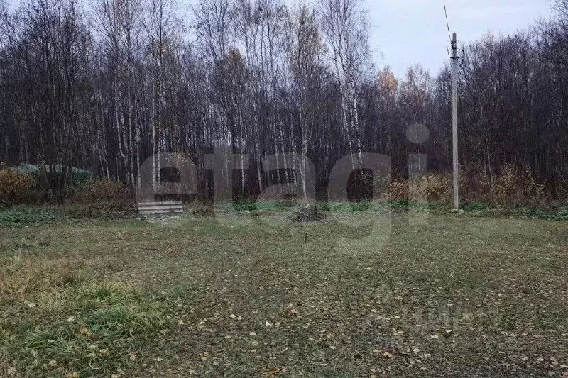 Участок в Псковская область, Псковский район, Ершовская волость, ... - Фото 2