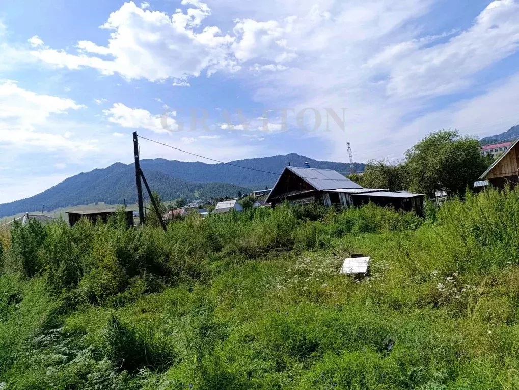 Участок в Алтай, Шебалинский район, с. Черга ул. Чапаева (35.0 сот.) - Фото 1