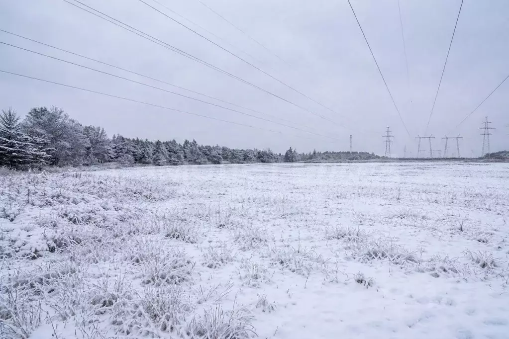 Участок в Московская область, Наро-Фоминский городской округ, д. ... - Фото 2
